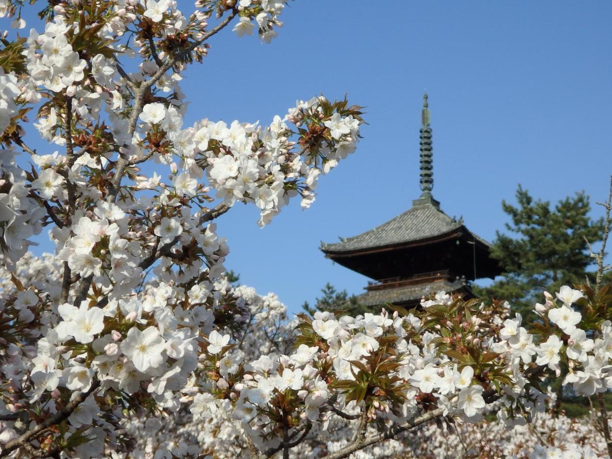 Stay Sakura Kyoto Tsubaki Bagian luar foto